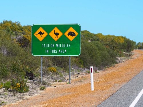 Australia-2017-3