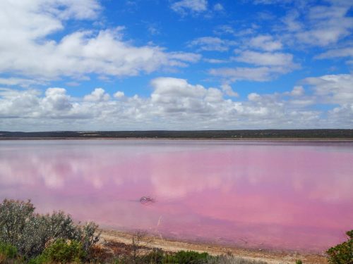 Australia-2017-7