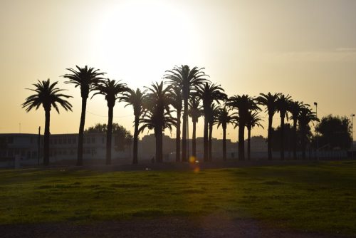 Capodanno in Marocco - 2017