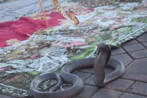 Capodanno in Marocco - 2017