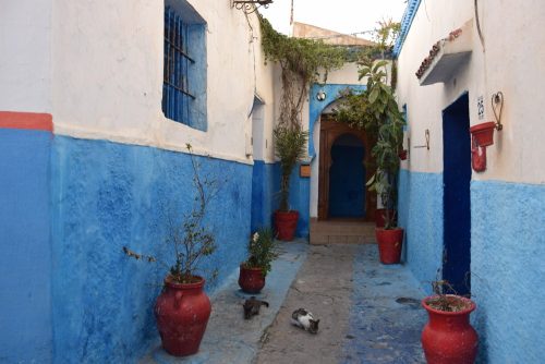 Capodanno in Marocco - 2017