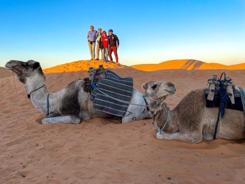 24BCF28D-AB24-4F9E-BF0E-53FB2FE6CBA3-L0-001