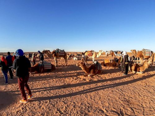 320D1342-57E5-4D74-AD00-22148298A578-L0-001