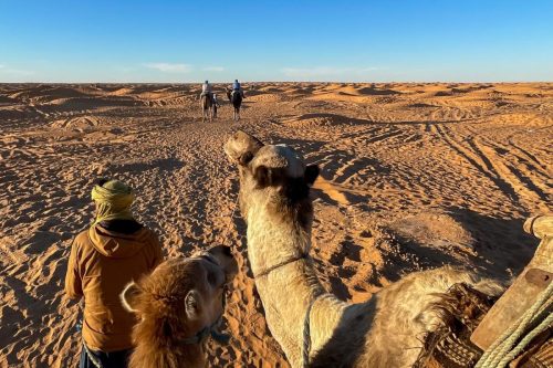 398CE7C0-5D5C-4D77-9038-814744F268F4-L0-001