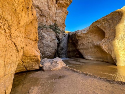 FC54C4D1-C92F-4FEA-AB2F-E6566C625239-L0-001