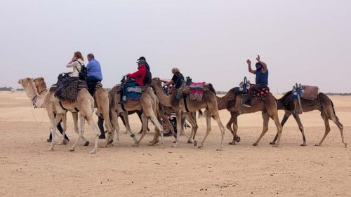 Tunisia2502-11
