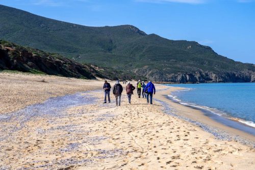Sardegna-44