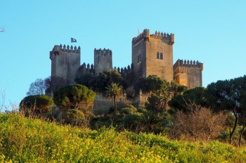 imgi 40 P1040122-1024x683