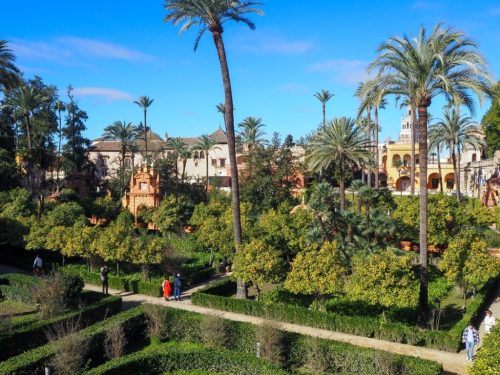 imgi 42 P1030187-1024x768