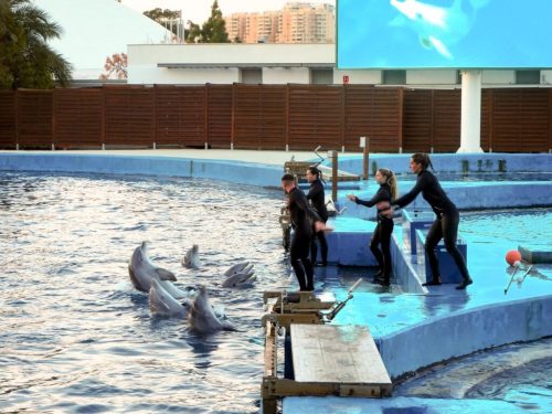 imgi 48 P1010171-1024x768